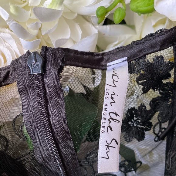 Sheer Black Floral Embroidered Bustier Mini Dress - Picture 3 of 7